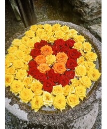 flower hand water | その他