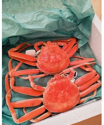 Crab | その他