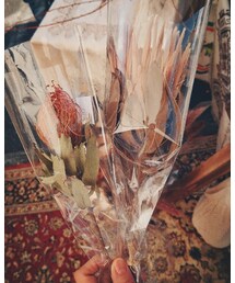 dryflower | その他