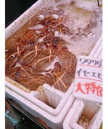 seafood market | その他