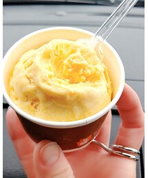 pumpkin  | その他