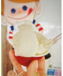 gelato | その他