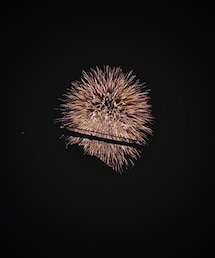 firework | その他