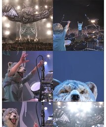 FUJI ROCK | 音楽/本・雑誌