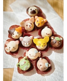 Animals | ラッピングキット