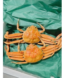 毎年恒例 | その他