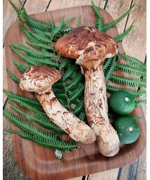 秋の味覚1 | その他