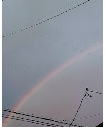 RAINBOW | その他