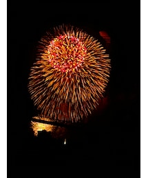 花火 | その他