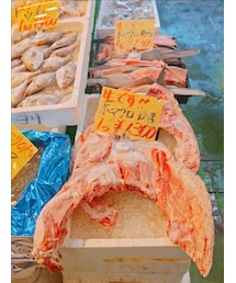 seafood market | その他