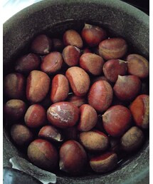 marron | その他