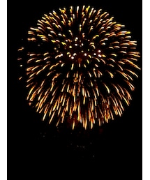 花火 | その他