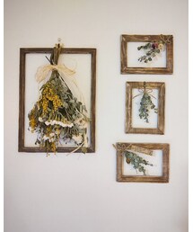 Dried flower | インテリア雑貨