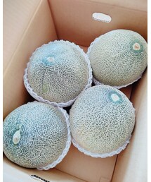 MELON | その他