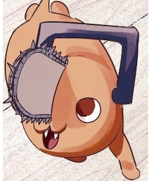 ポチタ | その他