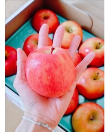 Apple | その他