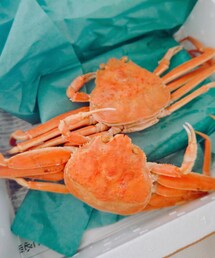 crab | その他