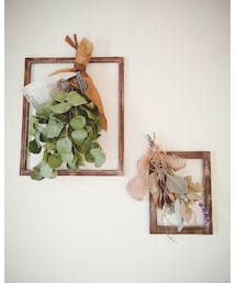 Dried flower | インテリア雑貨
