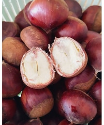 marron | その他
