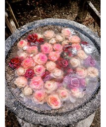 floralice | その他