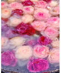 Ice rose | その他