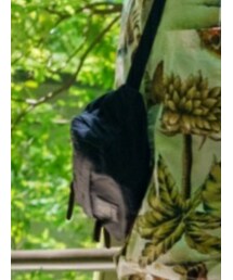 GREGORY | ショルダーバッグ