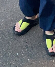 靴下屋 | ソックス/靴下