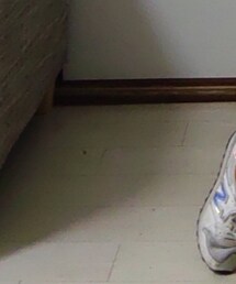 NEW BALANCE | スニーカー