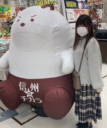 信州のチカラ | フィギュア