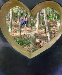 クリスマスローズの小径 | カメラ/カメラグッズ