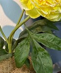 丰和生活馆の「インテリア(インテリア)」