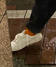 sevens | ソックス/靴下