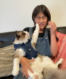 ♡ | ペットグッズ