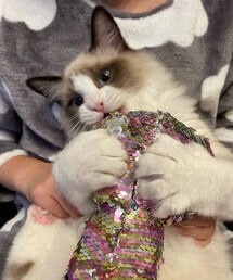 ♡ | フィギュア