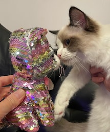 ♡ | フィギュア