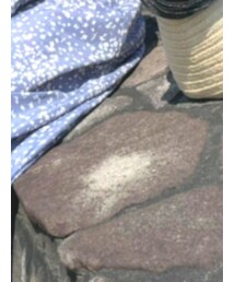 Samansa Mos2 | ワンピース/ドレス