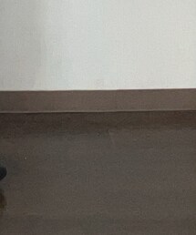 MoonStar | スニーカー