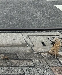 GU | チノパンツ