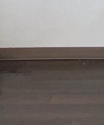 MoonStar | スリッポン