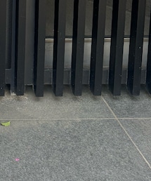 MoonStar | スニーカー