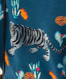 ZARA | ニット/セーター