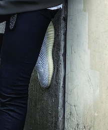 Yeezy | スニーカー