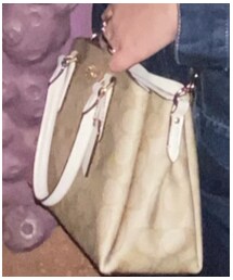 COACH | ショルダーバッグ