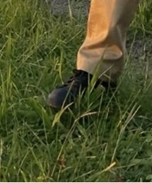 THE NORTH FACE | スニーカー