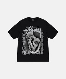 STUSSY | Tシャツ/カットソー