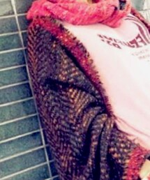 Vivienne Westwood | マフラー