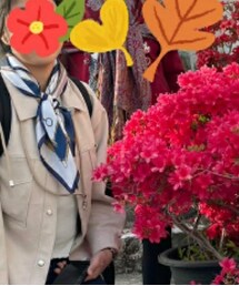 韓國 | ストール/ショール