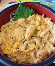 うさこのスウィーツ同盟会 | 今年のウニ丼✨ウニが採れないらしくめっちゃ値上がりしてる💦(その他)