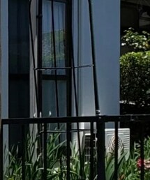 WEGO | ネックレス