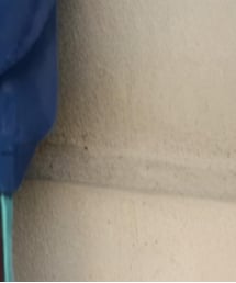 Chaco closet | デニムジャケット